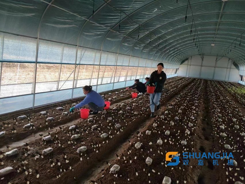 1663308614990805.jpg 1000.jpg