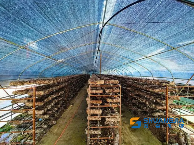 1666177073468592.png 15-51-43-47-283825.png