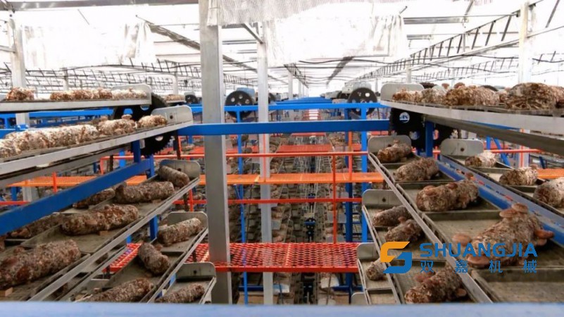 1673788671848366.jpg 09-52-35-58-283825.jpg